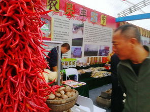 銅川2018扶貧產(chǎn)品交易會(huì) 初級(jí)農(nóng)產(chǎn)品精品薈萃，看點(diǎn)亮眼搶先揭秘