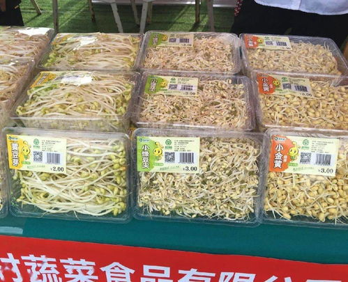 養(yǎng)老金上調(diào)惠及40余萬(wàn)退休人員，路段施工提醒與科技成果對(duì)接活動(dòng)預(yù)告