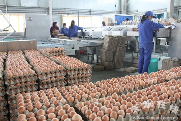 挖掘潛力，轉(zhuǎn)型升級 加快天水農(nóng)村第二產(chǎn)業(yè)發(fā)展的調(diào)查與思考