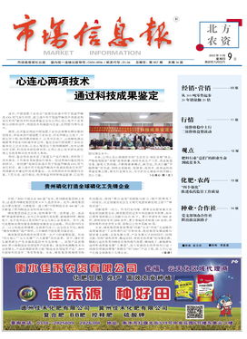 市場信息報(bào) 市場信息咨詢的價(jià)值與實(shí)踐指南