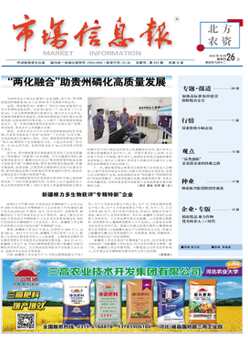 市場(chǎng)信息咨詢的價(jià)值與實(shí)踐路徑